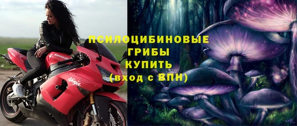 винт Арсеньев