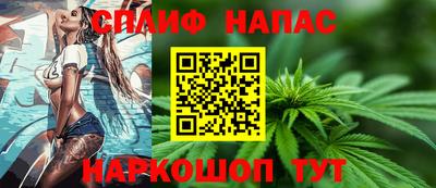 СК Владикавказ
