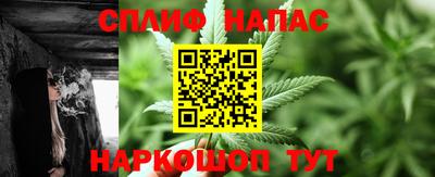 СК Владикавказ