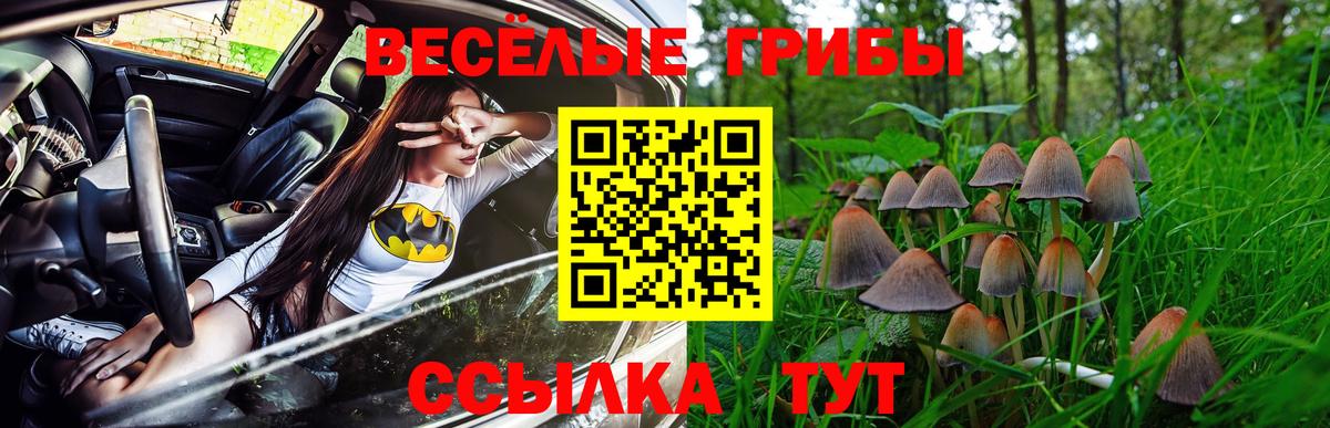 закладка  Галлюциногенные грибы GOLDEN TEACHER  Вход с VPN  Махачкала 